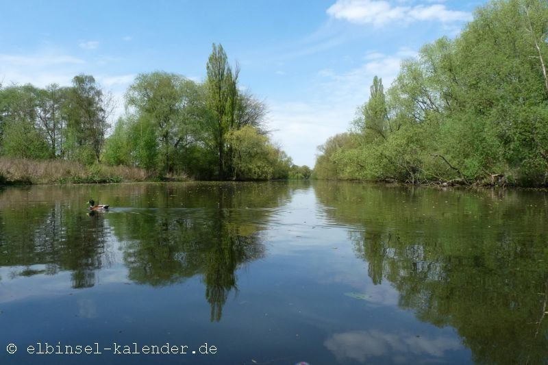 Unterwegs auf der Doven Elbe